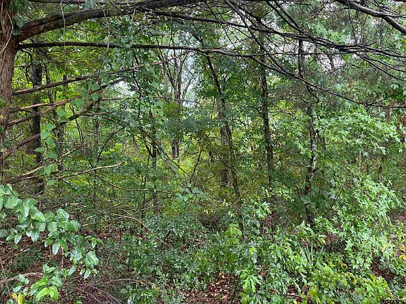 4th image of 18029 County Road 4108