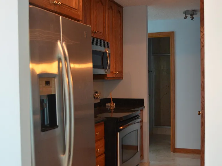 195 N Harbor Dr #4501 — Photo 18