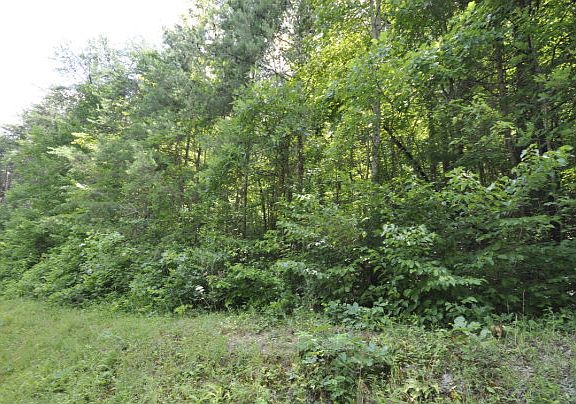 3rd image of 196 Scenic Vista Dr