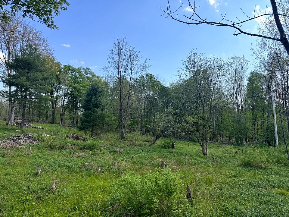 1st image of 1.10 Curtiss Rd #10