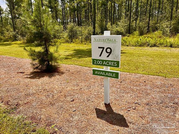 3rd image of 79 Naturewalk Dr