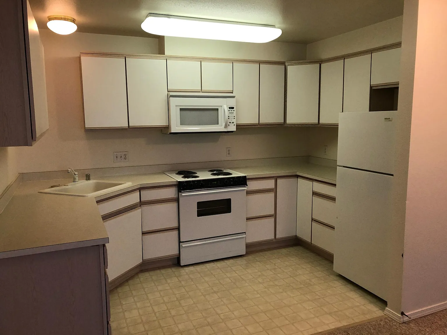 1 bed, 730 sqft, $1,150 — Photo 4