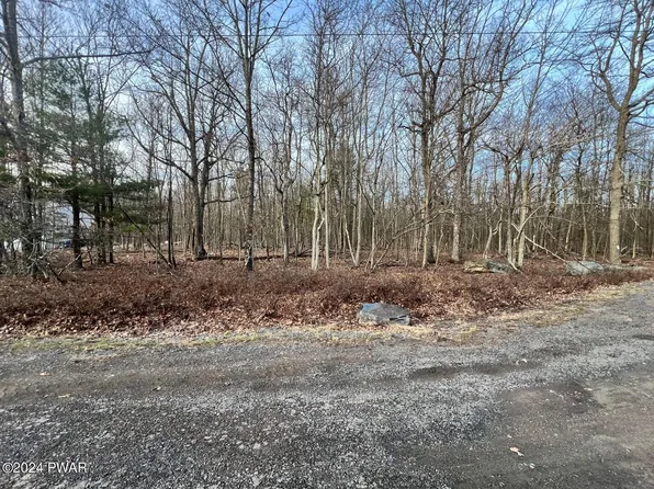 160 Timberline Dr, Tafton, PA 18464
