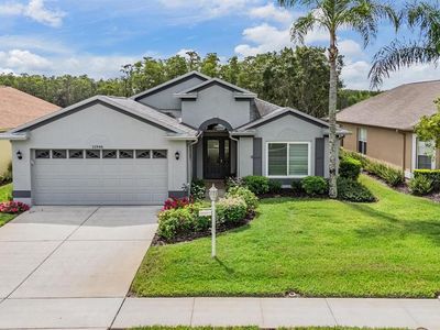 11946 Yellow Finch Ln, New Port Richey, FL, 34655