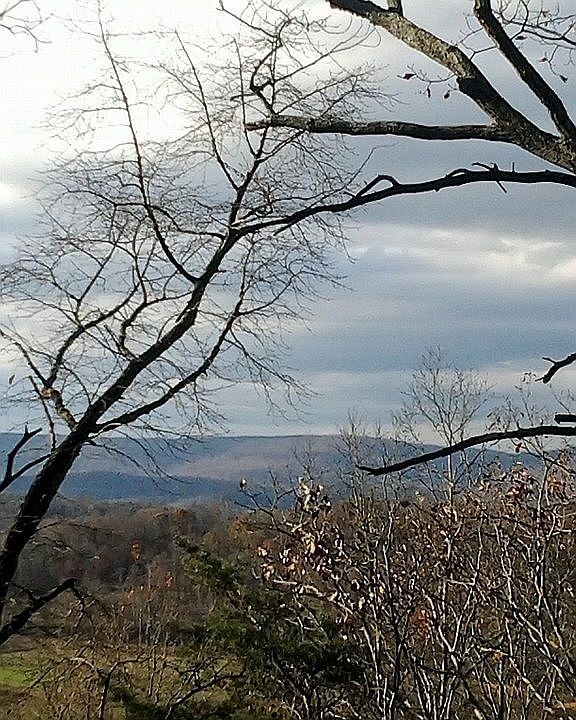 2nd image of 9514 County Road 121