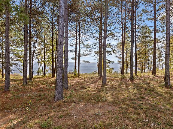 5th image of 0 River Bluffs Dr #Rb62