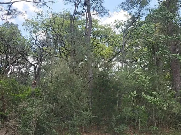 LOT 2 N Council Dr, Hempstead, TX 77445