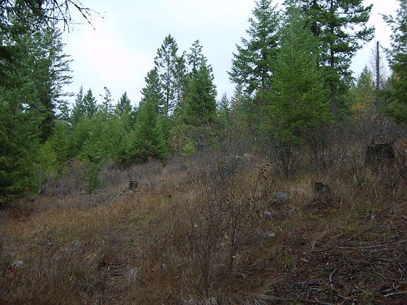 2nd image of Nna Camp Nine