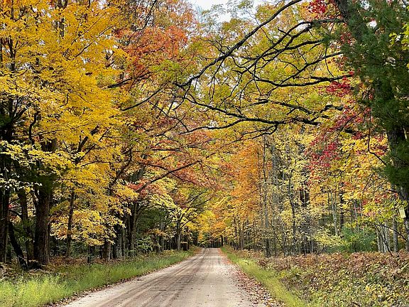 3rd image of 10652 N River Rd #E