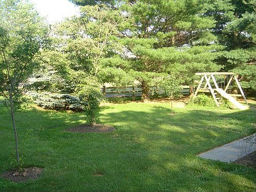 5th image of 19969 Wild Cherry Ln