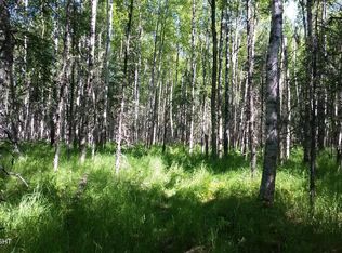 1088 N Suzanna St, Wasilla, AK 99623