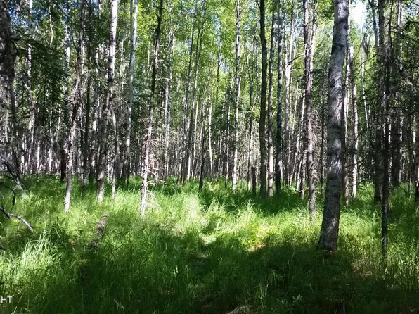 1088 N Suzanna St, Wasilla, AK 99623