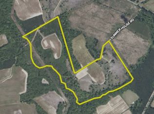 Mount Allison Rd LOT WP001, Johnsonville, SC 29555