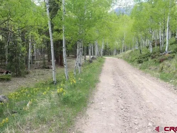 tbd 10th, Jasper, CO 81144