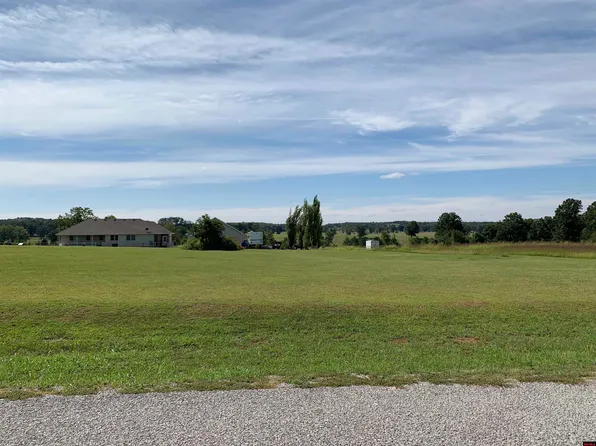 Parkman Ter, Gassville, AR 72635