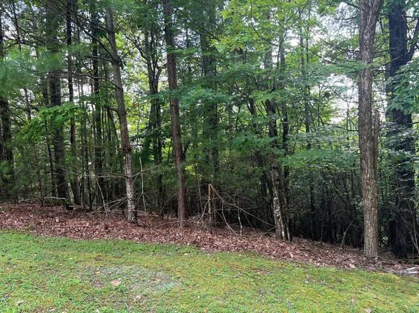 LOT 40 Double Knobs Dr, Hayesville, NC 28904
