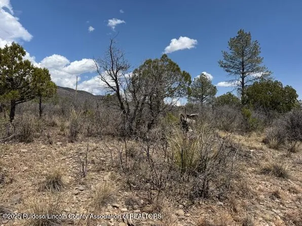 22 Milton Rd, Timberon, NM 88350