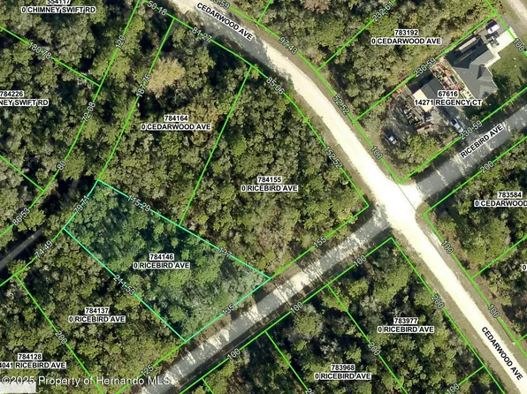 0 Ricebird Ave, Brooksville, FL 34614