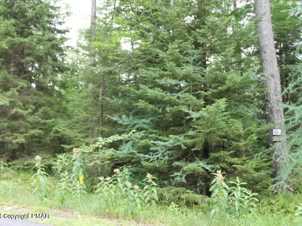 517 E Forest Rd, Pocono Lake, PA 18347