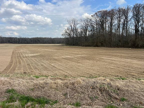 3rd image of 5900 State Highway 8 W