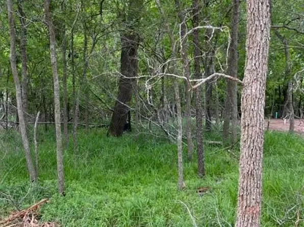 225 Kahana Ln, Bastrop, TX 78602