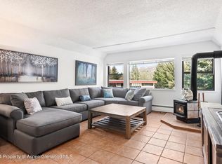 1021 Vine St #1021, Aspen, CO 81611