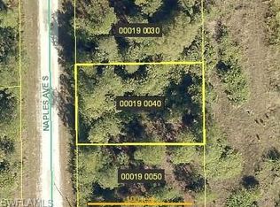 307 Naples Ave S, Lehigh Acres, FL 33974