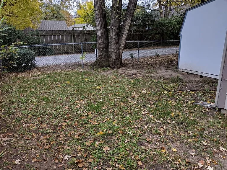Backyard - From Gate towards the back