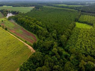 0 Wh Smith Sr Rd TRACT 7, Statesboro, GA 30458