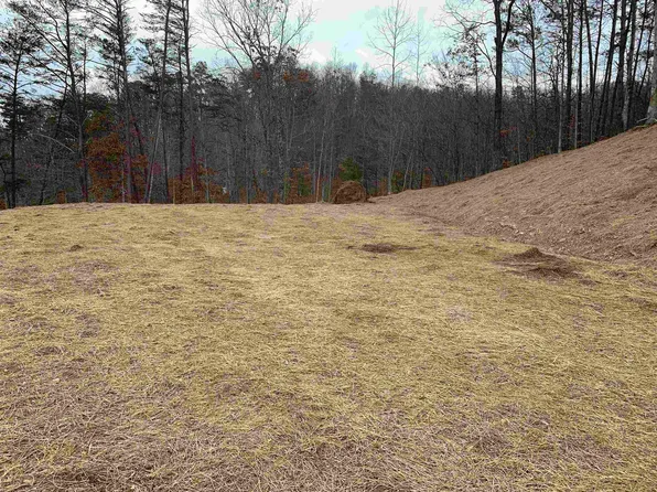 Upper Stinson Lot 1, Grayson, KY 41143