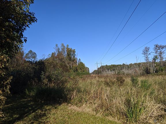 View of land behind house
