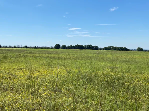 County Road 296, Carbon, TX 76435