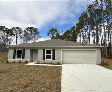 13 Post Ln, Palm Coast, FL, 32164