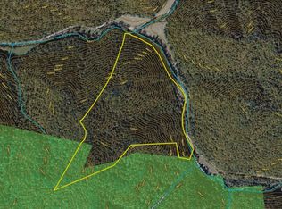 312 Laurel Fork Rd, Ricetown, KY 41364