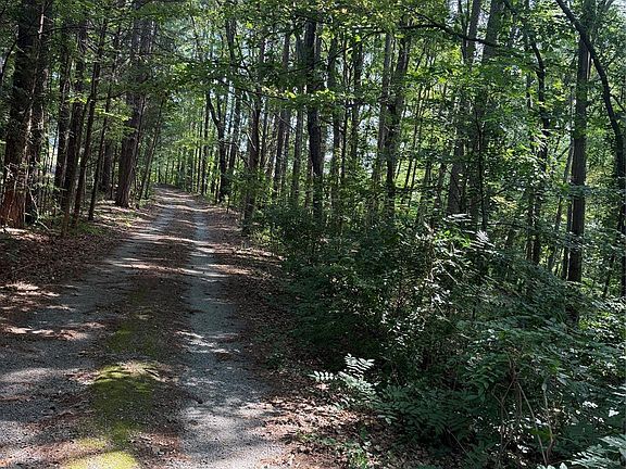 3rd image of 202 Horseshoe Lake Rd