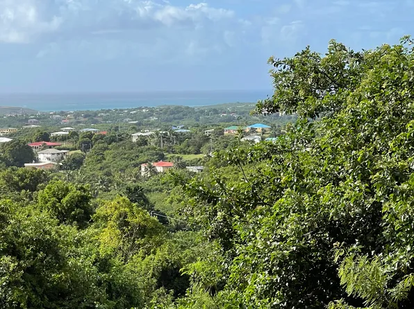 131 Eliza's Retreat EA, St. Croix, VI 00820