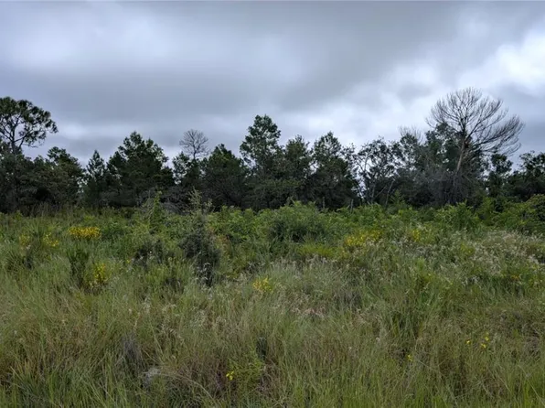 109 Falcon Ct NW #2, Lake Placid, FL 33852