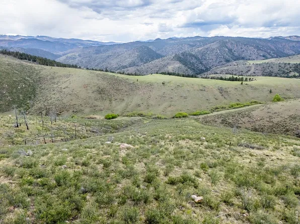 208 Little Bald Mountain Ct, Livermore, CO 80536
