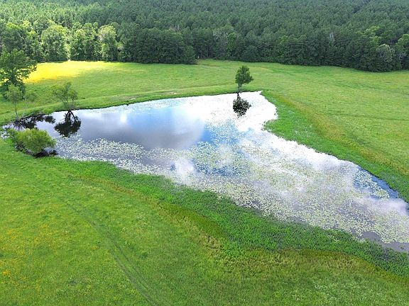 3rd image of 2068 County Road 3455
