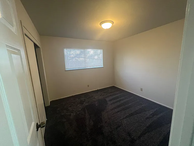 2426 Fern St #D — Photo 11