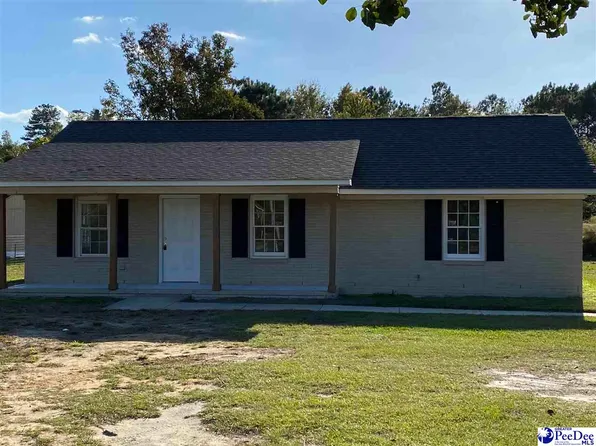 4830 Woods Bay Rd, Olanta, SC 29114