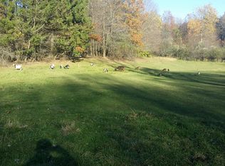 1178 Sandy Lake Rd, Ravenna, OH 44266