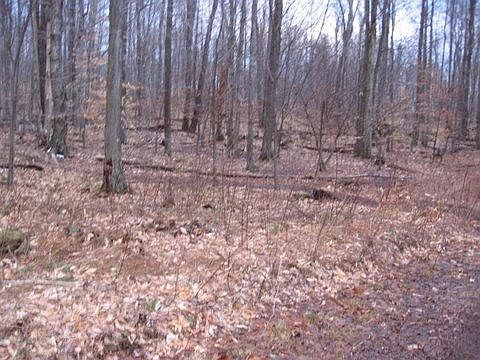 1st image of Horseshoe Dr