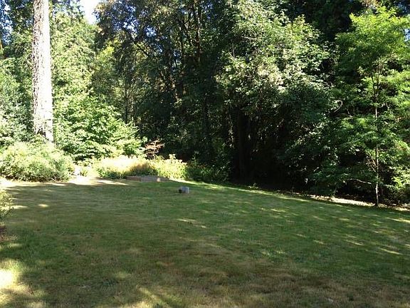 Large level back yard