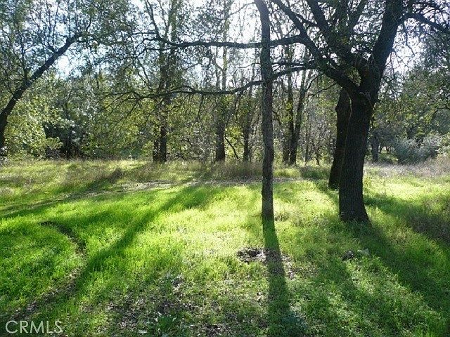 1st image of 17040 Davis Garden Dr