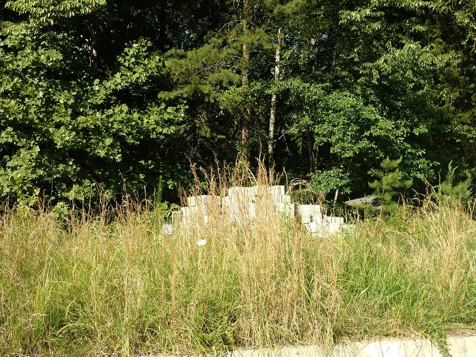 2nd image of Stem Ln