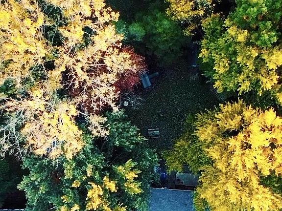 2nd image of 7007 Summerfield Dr N