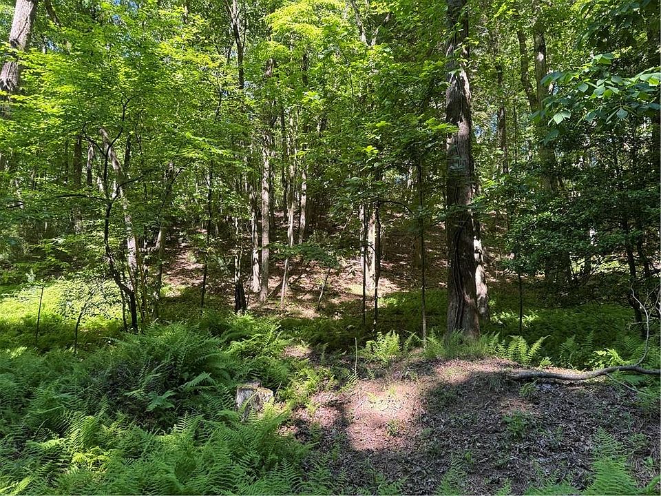 1st image of 0 Walhalla Ct Lot 387