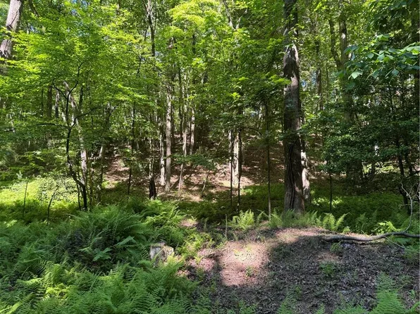 0 Walhalla Ct Lot 387, Ellijay, GA 30540