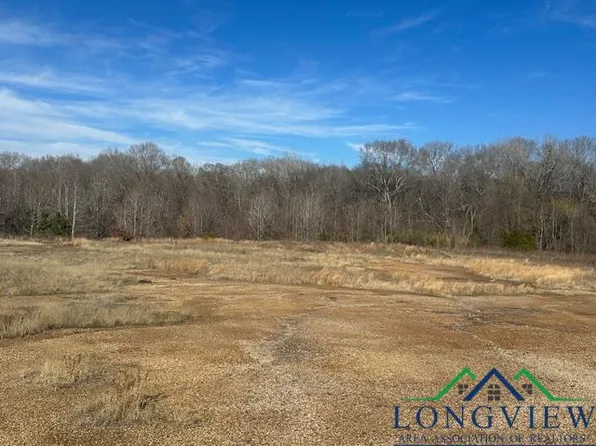 S Us Highway 259, Kilgore, TX 75662